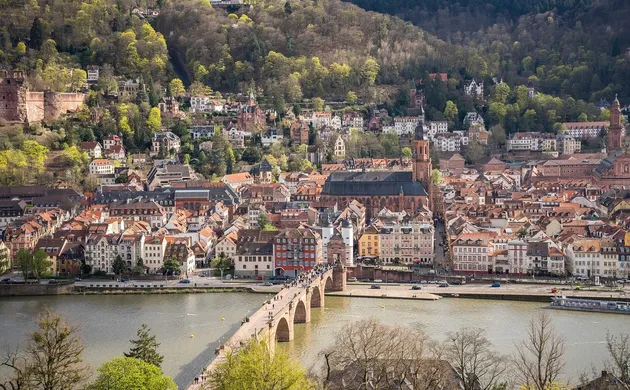 Ein Viertel der neuen Lebensmittel in Deutschland sind biologisch